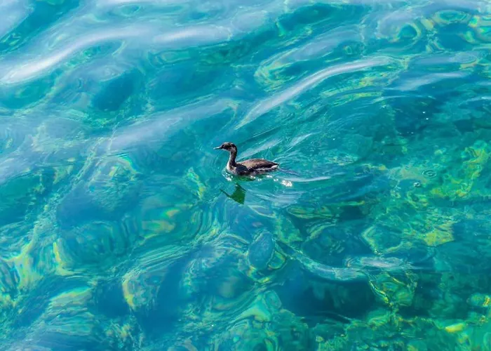 Ra Ica - Two Bedroom * Molunat